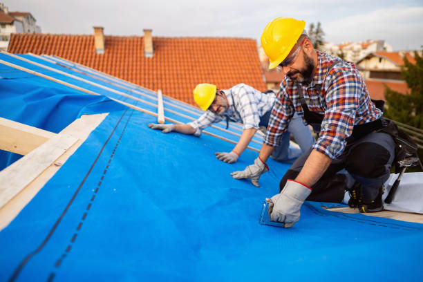 Roof Insulation in Winona, MN